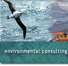 Environmental Consulting